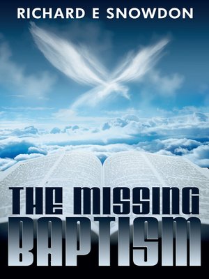 cover image of The Missing Baptism